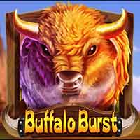 Buffalo Burst